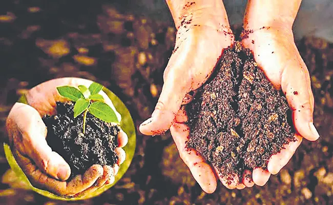 Organic Agriculture Grown Tremendously In Telangana - Sakshi