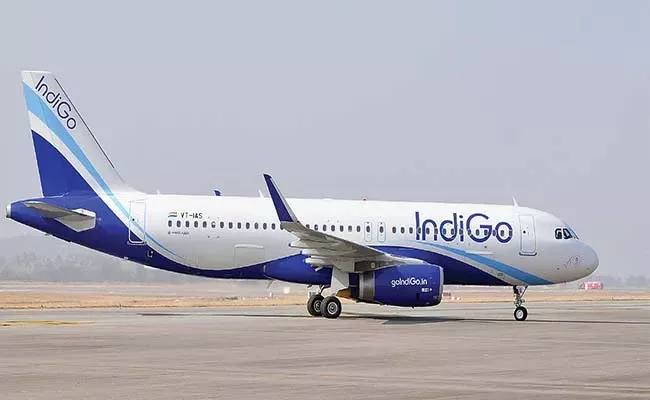 IndiGo eyes expansion with 500 Airbus planes already on order - Sakshi