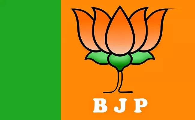 Article On AP BJP Political Drama - Sakshi