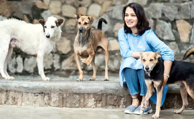 Is Amala Akkineni Respond On Amberpet Stray Dog Attack Incident - Sakshi