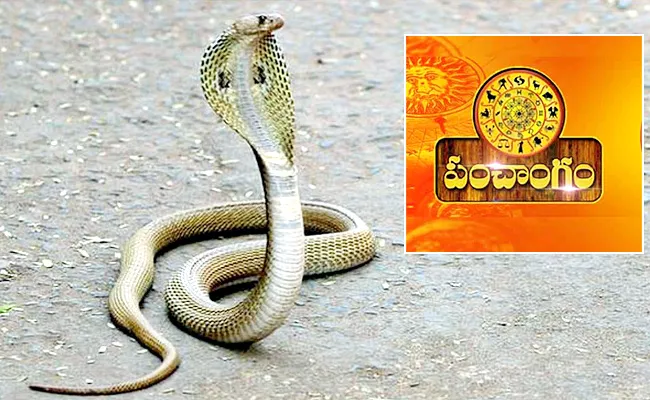Cobra snake bite a young man in Karimnagar - Sakshi