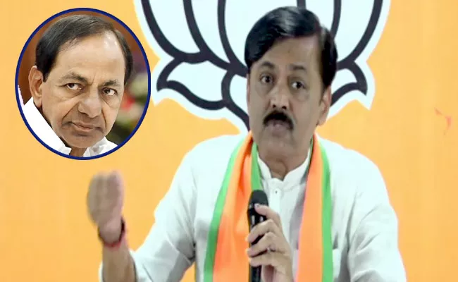 BJP MP GVL Narasimha Rao Sensational Comments On CM KCR - Sakshi
