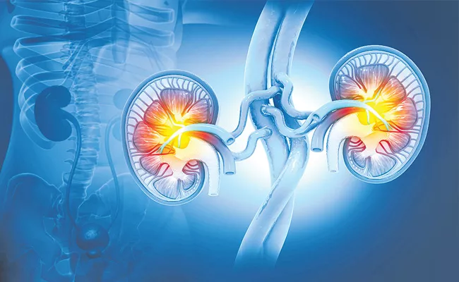 11 423 Kidney Transplants During The Year 2022 - Sakshi