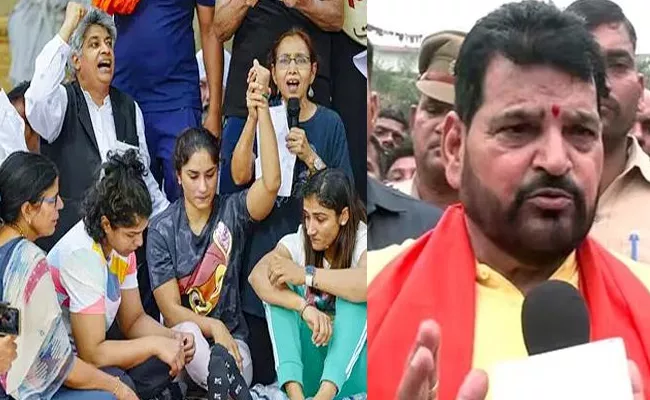 Wrestlers Protest: Panel Asked Us For Audio Video Proof Said Brij Bhushan Like Father Figure - Sakshi