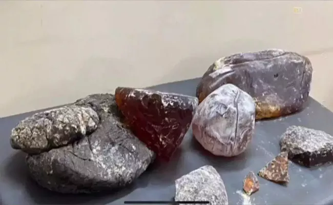 DRI seizes 18. 1 kg ambergris worth Rs 31. 67 cr at Tuticorin - Sakshi