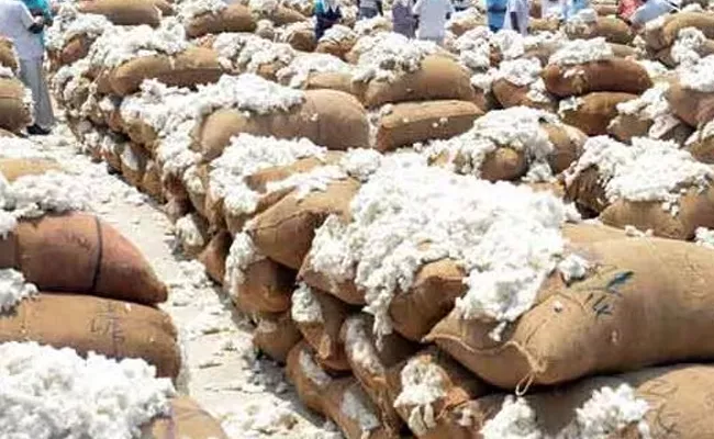 Huge Fire Accident Cotton Bags Destroyed At khammam market yard - Sakshi