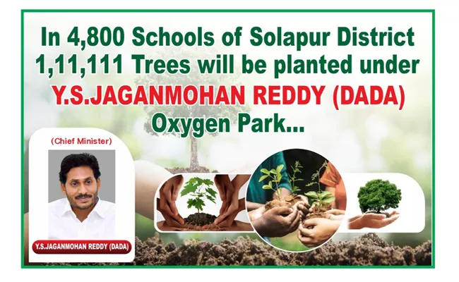 Schools Of Solapur District Will Plant Trees Under AP CM YS Jagan Oxygen Park - Sakshi