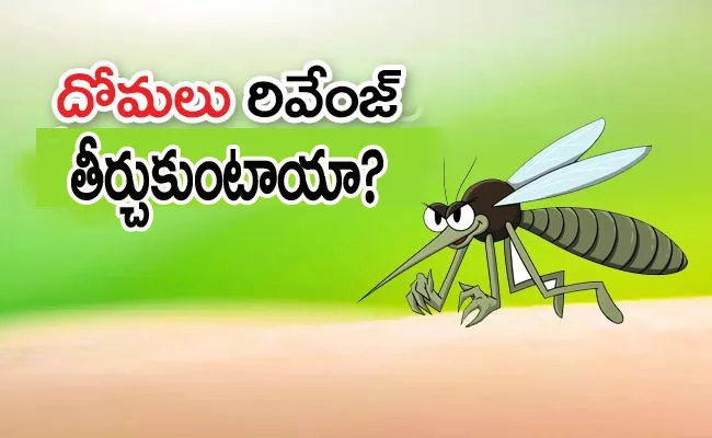 Do You Know Why Mosquitoes Bite Some People More Than Others - Sakshi