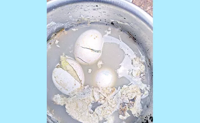 Rotten Eggs In Anganwadi - Sakshi