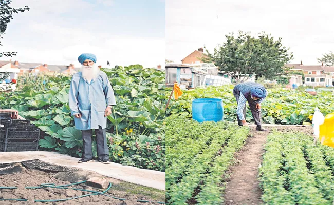 A Sikh Farming City In Smedic England - Sakshi