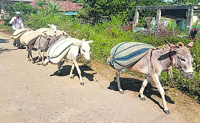 Farmers resorting to roads or donkeys to go to fields - Sakshi