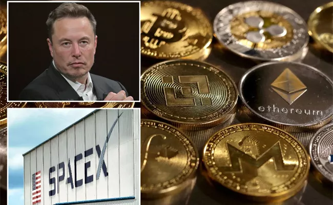 Elon Musk Sell Bitcoin Holdings Around 373 Million - Sakshi