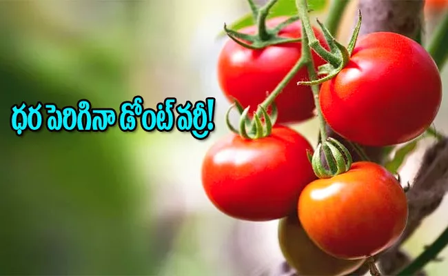 Get Tomatoes rs 70 per kg in Ondc How to buy Online - Sakshi