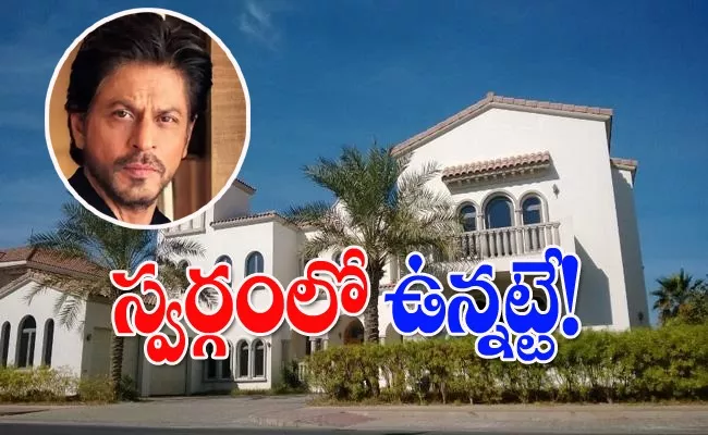 Shah Rukh Khan luxurious Dubai beach home Cost Of 100 Crores - Sakshi