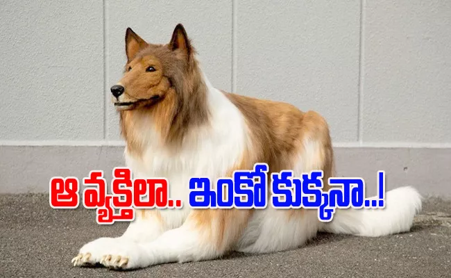 A Japanese Man Transformed Himself Dog Want Star In Movies - Sakshi
