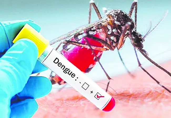 Four died of dengue in Mulugu district - Sakshi
