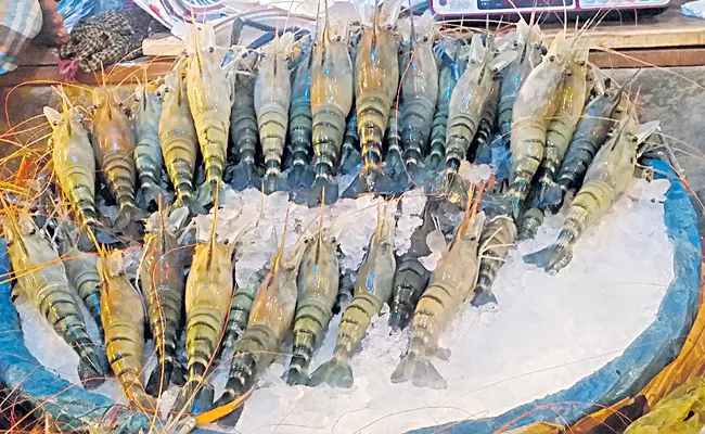 companies tried to increase the price of shrimp up to Rs 256 per tonne - Sakshi
