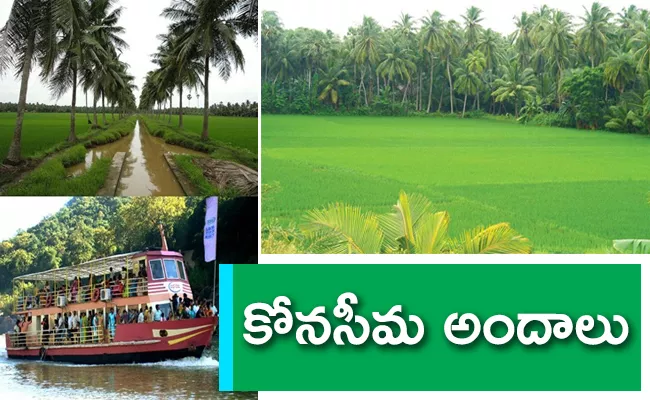 World Tourism Day 2023: All You Need To Know About Godavari Specials - Sakshi