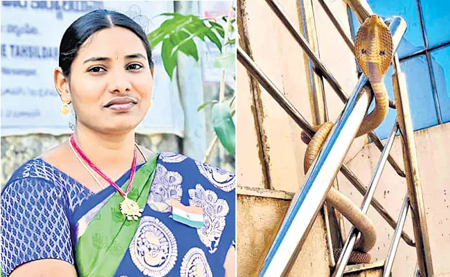 30Year woman dies of snake bite in Warangal - Sakshi