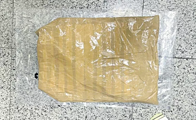 Cocaine worth Rs 50 crore seized at Shamshabad airport - Sakshi