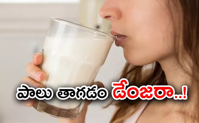 Studies Said  Drinking Milk Every Day Cause This Cancer - Sakshi