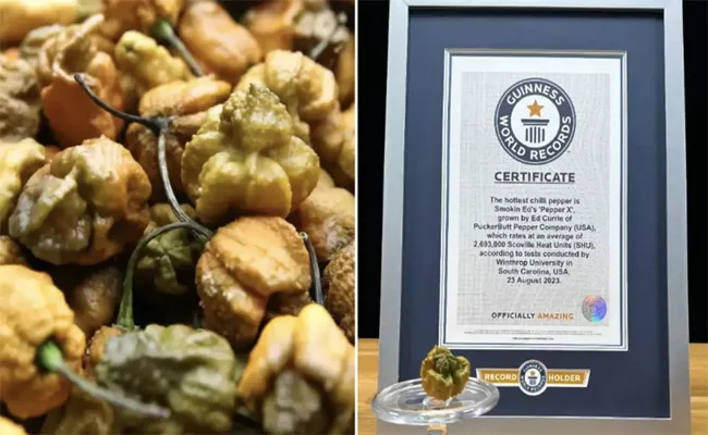 Guinness World Records Crowns Pepper X As The Spiciest Ever Hotstuff - Sakshi