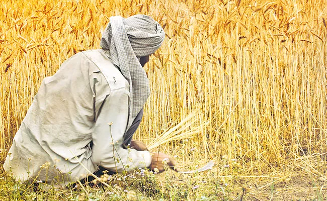 Indian Farmers Need Support Government - Sakshi