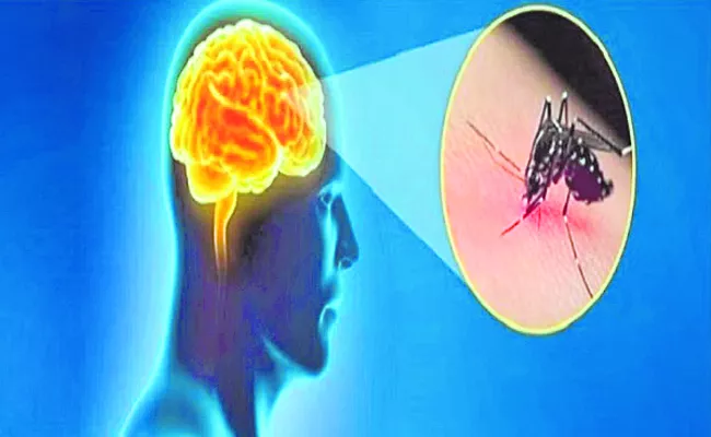 PG medical student dies in Hyderabad due to dengue encephalitis - Sakshi