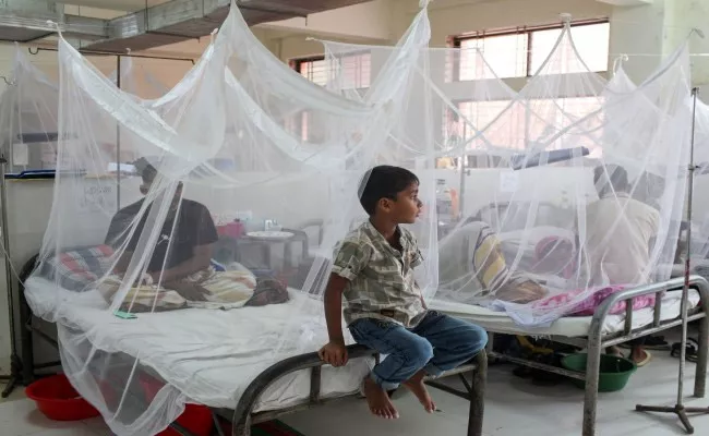 dengue havoc in bangladesh - Sakshi