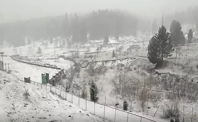 Video: Higher Reaches Of Kashmir Receive Fresh Snowfall - Sakshi