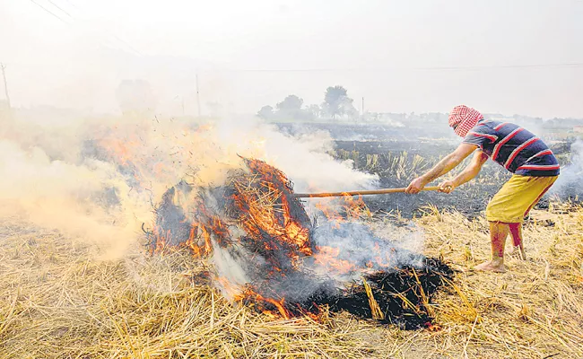 Sakshi Guest Column On Crop waste