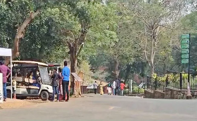 Bear Attack In Visakhapatnam Zoo Park - Sakshi