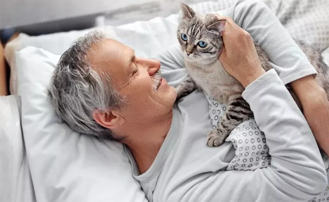 Cat Parasite Linked To Speeding Up Age Related Frailty - Sakshi