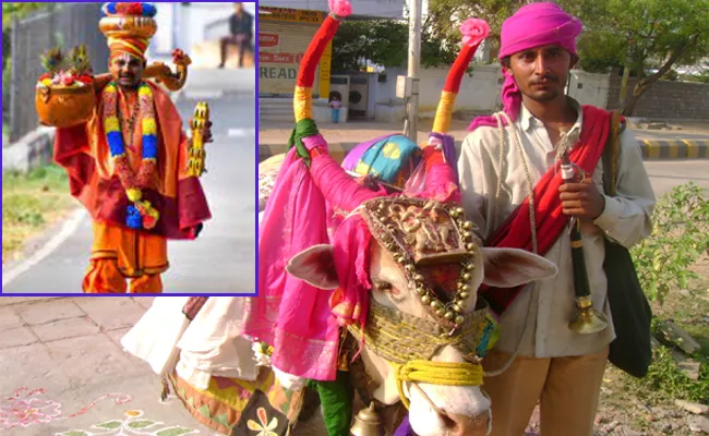 Sankranti Is A Colorful Festival Of Joy - Sakshi