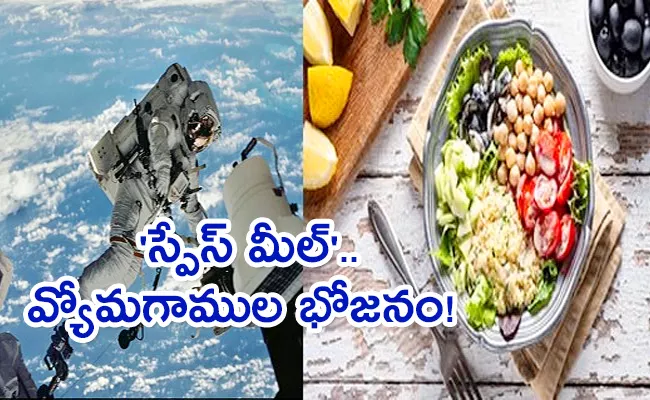 Designing The Perfect Space Meal To Feed Long Term Space Travelers - Sakshi