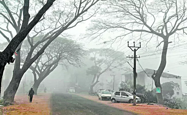 Cold winds are blowing in Alluri Sitharaju district - Sakshi