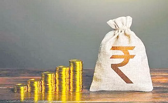 Interim Budget 2024: Government to receive Rs 1.02 lakh crore as dividend from RBI, PSBs in FY25 - Sakshi