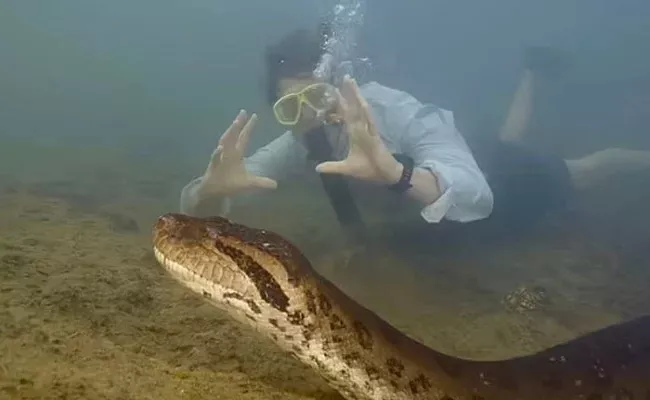 Worlds Largest Snake Discovered In Amazon - Sakshi