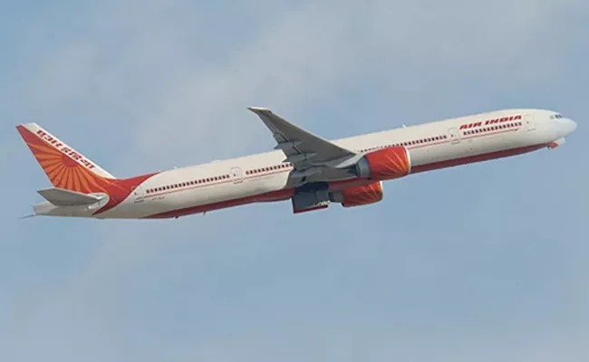 Air India Fined 30 Lakh After Passenger Not Given Wheelchair - Sakshi
