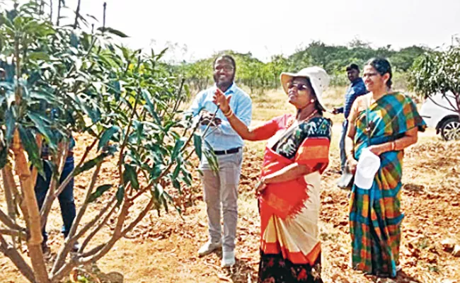 Cultivation Of Barren Land With Organic Matter Dr Jadala Shankaraswamy - Sakshi