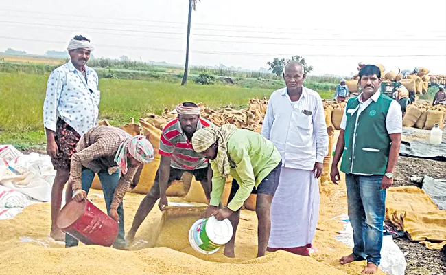 Rabi grain collection has started - Sakshi