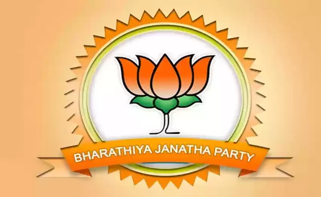 Lok sabha elections 2024: BJP plans to Vote Percentage increased own Strategy - Sakshi