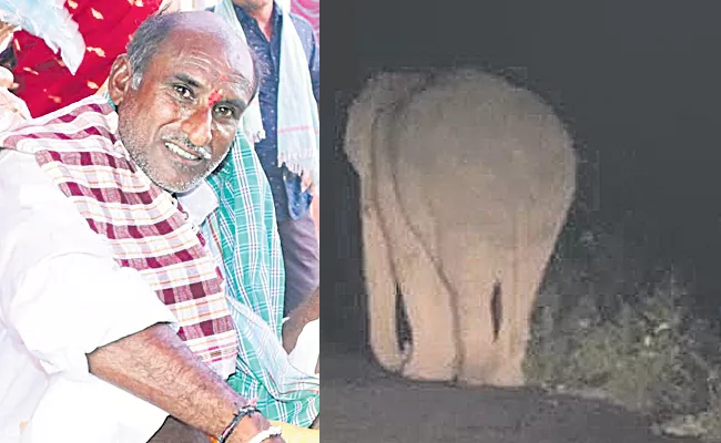 Another farmer died in an elephant attack - Sakshi