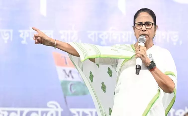 Cm Mamata Banerjee Comments On West Bengal Governor