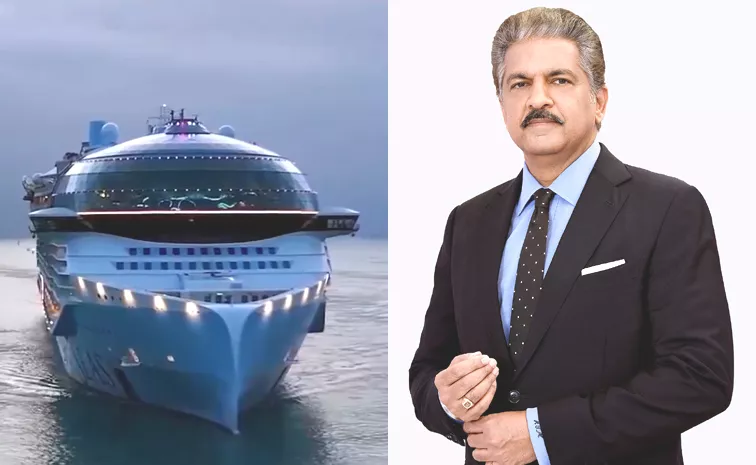 Anand Mahindra Sunday Leisure Viewing Video