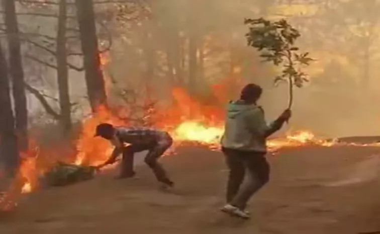 Forest Fire in Himachal Pradesh