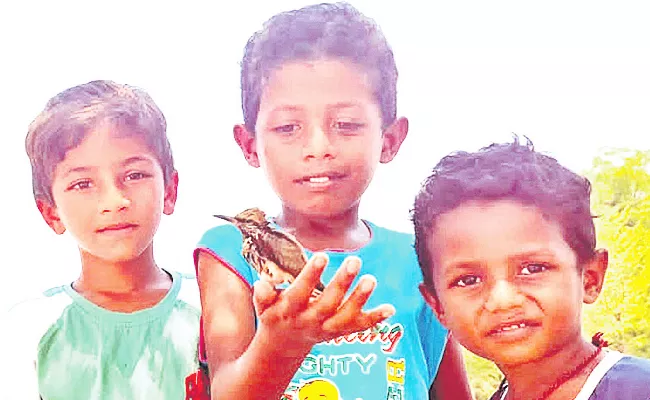 Nihant Harshit And Trinai Are The Children Who Saved The Thirsty Sparrow