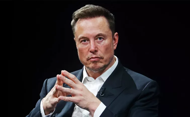 Elon Musk And X User Tweet Viral