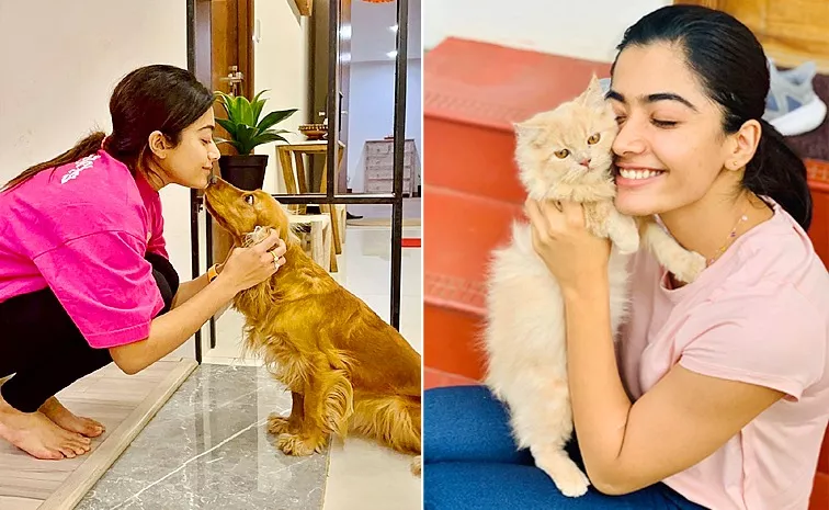 Rashmika Mandanna Shares Pet Dogs and Cats Photos In Social Media