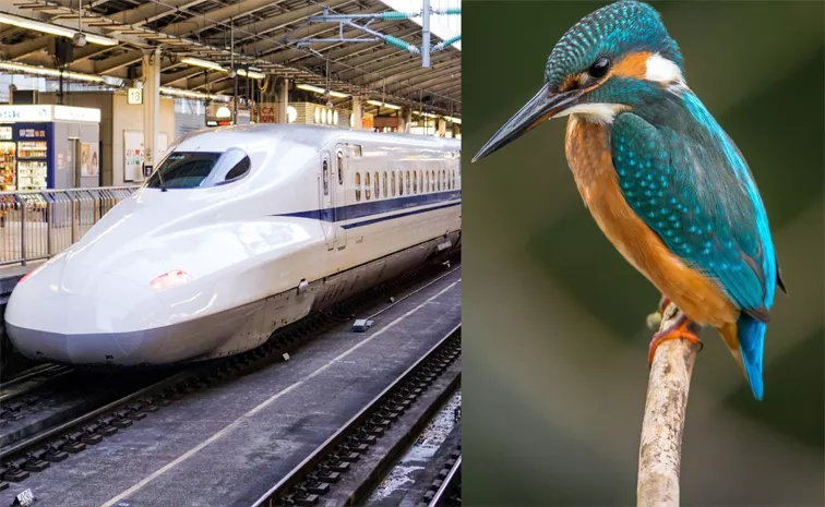 A kingfisher Helped Reshape Japans Bullet Train 